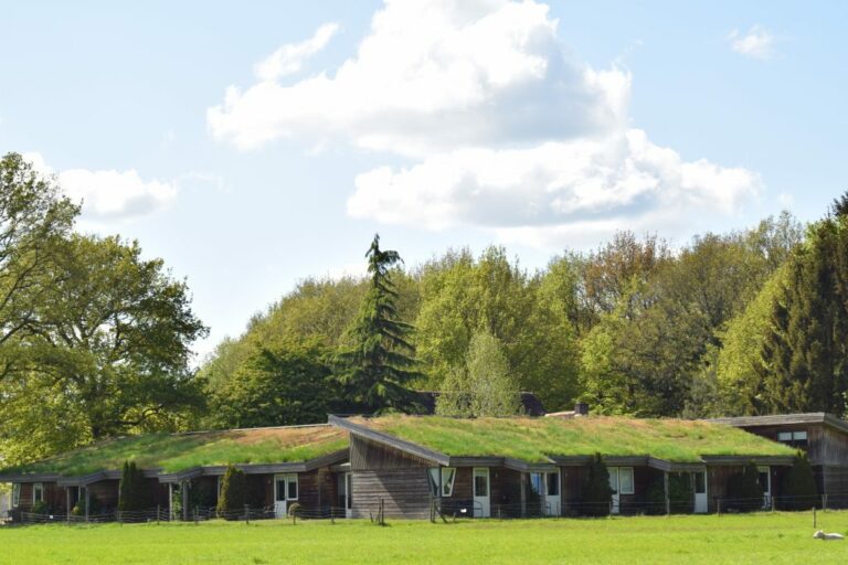 Wat maakt overnachten in ons mooie Drenthe zo geweldig?